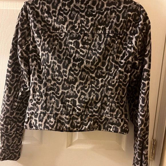 Romeo and Juliet couture Zebra moto Jacket - Picture 5 of 8
